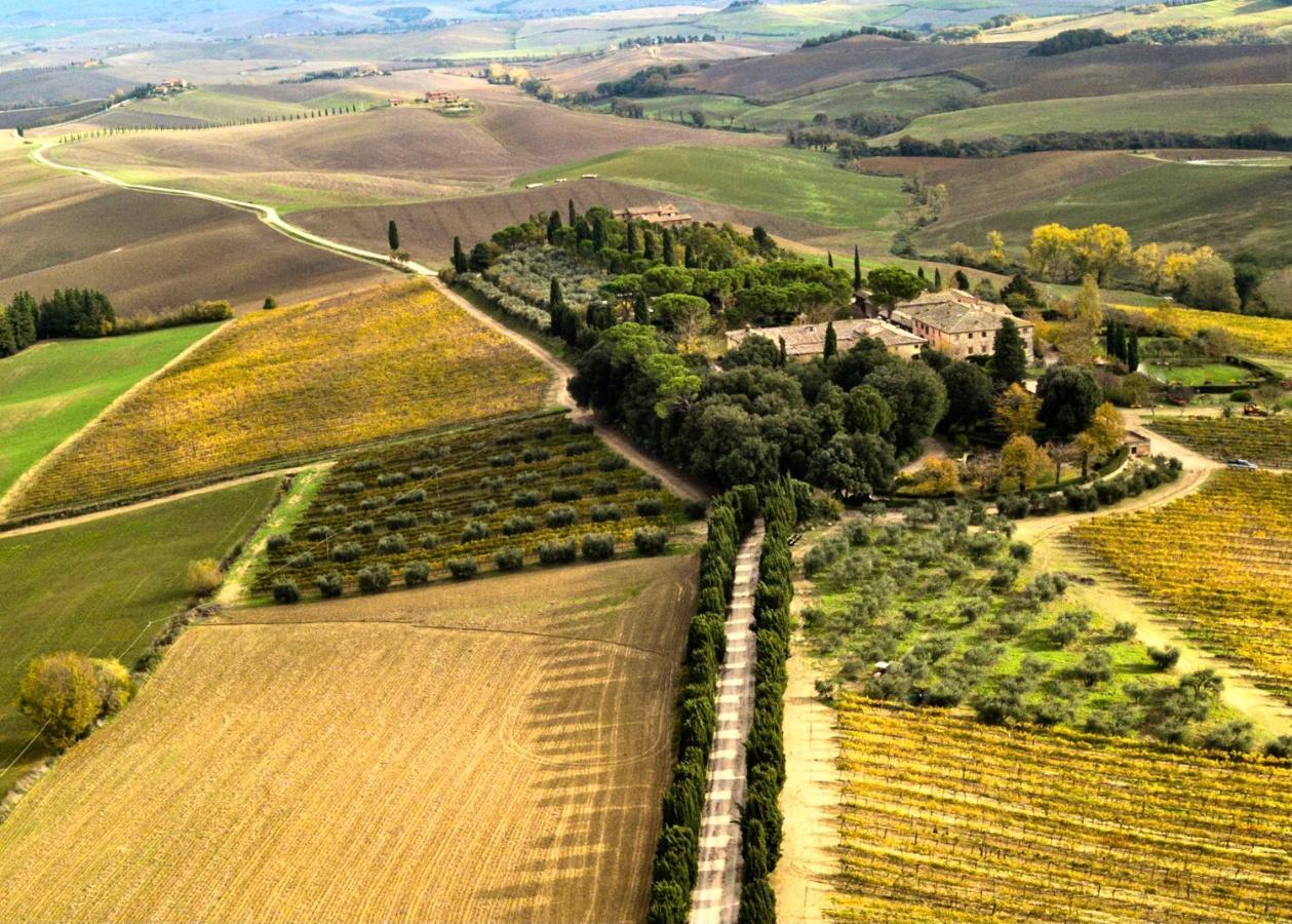 Villa Buonsignori - Wine & Olive Oil Farm Corsano  Exteriör bild
