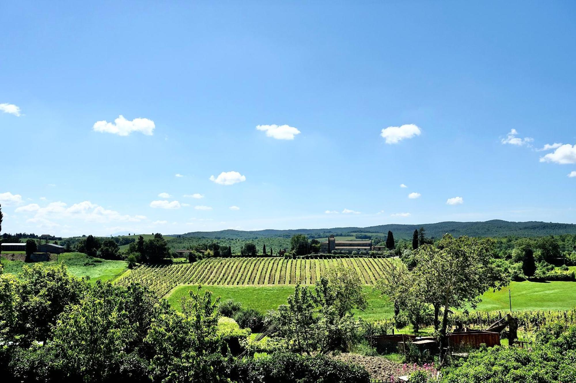 Villa Buonsignori - Wine & Olive Oil Farm Corsano  Exteriör bild